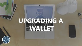 How To Safely Upgrade A Wallet (Litecoin/Bitcoin)