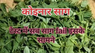 कोयनार साग का चोखा ।  कोयनार साग सब्जी । #cooking