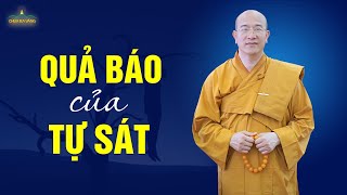 Quả Báo Của Tự Sát (Rất Hay) | Vấn Đáp Phật Pháp | Chùa Ba Vàng