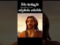 పరలోకములో పేరు name in heaven