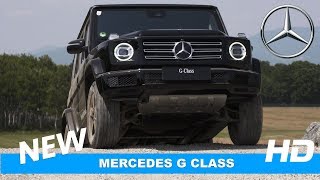 2019 Mercedes Benz G400d: OFF-ROAD RACE!