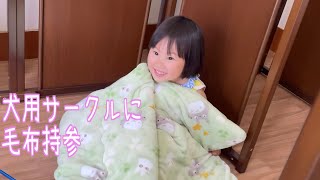 犬用サークルで寝ようとする子の末路