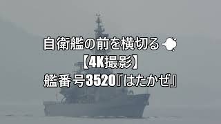 自衛艦の前を横切る💨【4K撮影】艦番号3520『はたかぜ』