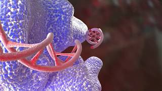 CAS 9. What is CRISPR? Medical Animation