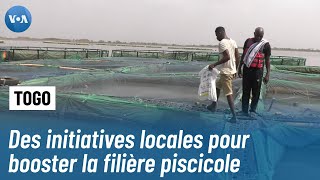 L'aquaculture en plein essor avec l'élevage de tilapias au Togo