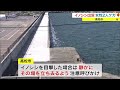 高松市中心部に体長約１メートルのイノシシが出没　女性２人がケガ【香川】 22 10 25 18 05