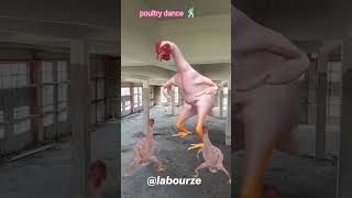 #cuteanimals  #dancevideo  #cats #dogs #funnyvideo #youtubeshorts #shortvideo #viralsho