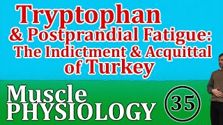 Tryptophan and Fatigue: The Indictment and Acquittal of Turkey