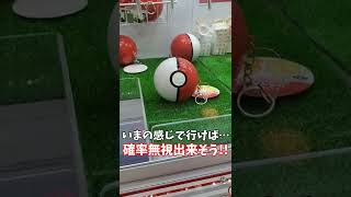 【クレーンゲーム】超絶妙な設定!!シールドさえなければ…ｗｗ【モンスターボール】【トートバッグ】【確率機】 #shorts