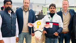 🛑Live🛑Gurwinder Dairy Farm ||  🏆 at DFA,Haryana