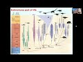 Lecture04 - Sequence Alignment - MLCB24