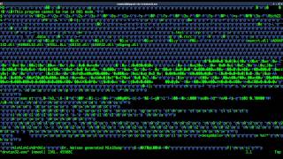 Basic Hex Editing Windows