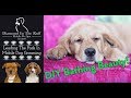 COOL way to wash your dog! Recirculating bathing system! DIY Bathing Beauty for Dogs!