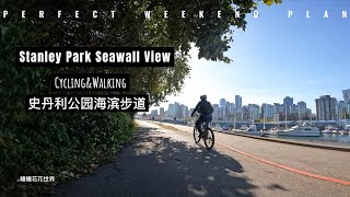 Stanley seawall view 温哥华史丹利公园海滨步道