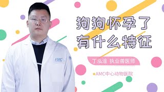 狗狗懷孕了有什么特征