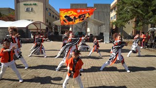 神風宮古流星海　岩手大学不来方祭2019