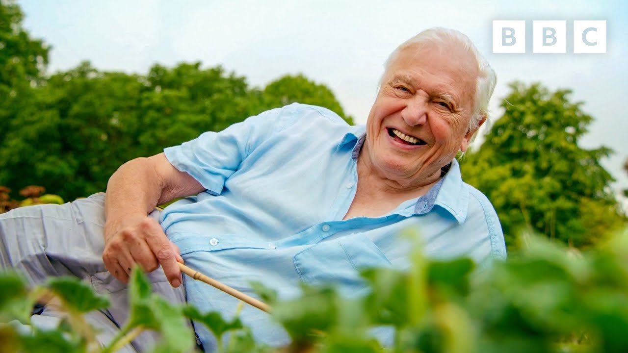 EXPLODING Seed Pods Make Sir David Attenborough Laugh 💥😂 The Green ...