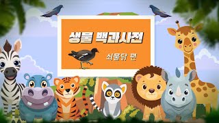 [교육]생물 백과사전 시리즈(쇠물닭편)