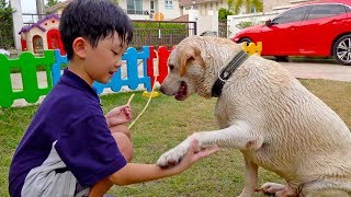 Kids Activity with Dog Bath Water Play Family Fun Playground
