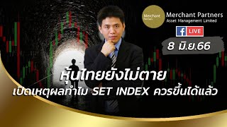 หุ้นไทยยังไม่ตาย เปิดเหตุผลทำไม SET Index ควรขึ้นได้แล้ว