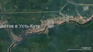 Доставка цветов в Усть-Куте - Заказ букетов от компании Скорая подарочная помощь