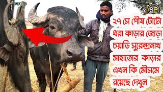 ২৭ সে পৌষ টোটো ধরা কাড়ার জোড়া চয়াডি সুরেন্দ্রনাথ মাহাতোর কাড়ার এখন কি অবস্থাতে রয়েছে দেখুন😌