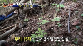 산삼을 15채나 한꺼번에 발견했다?! [뉴 코리아 헌터] 18회 20161005