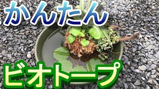 【めだかのビオトープ】園芸用プランターで簡単すぐ出来るビオトープの作り方 biotope aquarium setup.