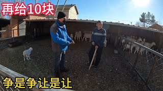 内蒙羊贩子买羊开价400，大娘说再给涨50，看看能成交吗