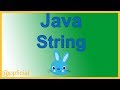 Java String - Example of Declaring and Initializing Strings and calling Methods - Java Tutorial