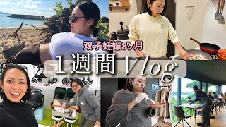 【1週間vlog】双子妊娠8ヶ月。リアルな36歳妊婦の日常