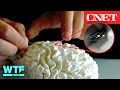 Brain-Computer Interface: No Open Brain Surgery Required 🧠