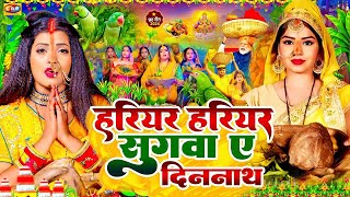 #video | Chhath Puja Song 2024 | #हरियर हरियर सुगवा ए दिनानाथ | #छठ_पूजा_गीत | #Chhtah_Geet 2024