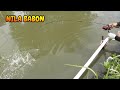 MANCING DIKOLAM KECIL HARGA MURAH IKAN MELIMPAH