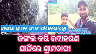 forest village video||ଗ୍ରାମବାସୀ ଙ୍କ ପରିବେଶ ଚିନ୍ତା ||ଜଙ୍ଗଲ କରି ଉଦାହରଣ ସାଜିଲେ ଗ୍ରାମବାସୀ|forest village