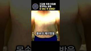 아침식사의 진실 꼭 먹어야할까?[캐나다 신장학 전문의, 비만코드,제이슨펑]