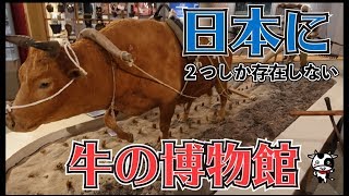 岩手県奥州市の【牛の博物館】 で牛についてさらに詳しくなろう！