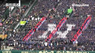 長田高校  甲子園アルプス応援 2016選抜高校野球 応援歌