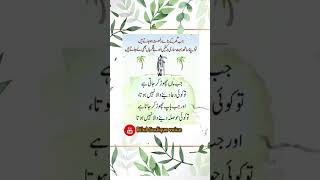 Jab MAA Chur jatin hai #ytshorts #viral #urdu #quotes #islamicquotes