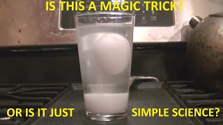 How To Make An Egg Float In Water - You Only Need One Ingredient!