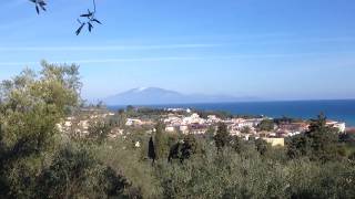 Zakynthos with Bobby Gee No10 (Through the olive groves of Tsilivi p1)