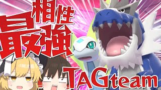 【ポケモン剣盾】伝説キッズ卒業!!色違いガチゴラスアマルルガの最強TAGteam!?【ゆっくり実況】