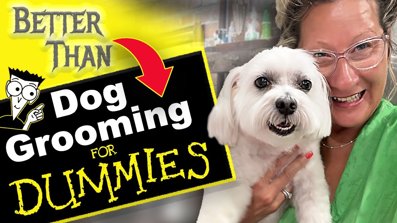 Dog Grooming Steps For Dummies Dog Yeah