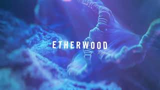 Etherwood - Deep Dive