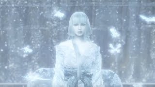 (葉大)仁王 雪女 BOSS戰