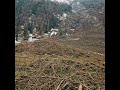 chronique rcf alsace le parlement européen se mobilise contre la déforestation mondiale.