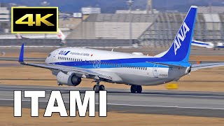 [4K] Plane Spotting at Osaka Itami Airport in Japan / 伊丹空港 JAL ANA / Fairport