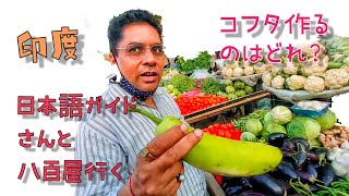 インドの日本語ガイドさんと八百屋マーケットに行く。インド料理・コフタ作る野菜はどれ？インドの野菜・ラウキ/ユウガオ/ひょうたん/かんぴょう