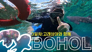 [4K]3일차 보홀 고래상어투어[보자무싸/일정공유/여행브이로그/여름휴가]