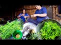 chayote shoot curry and rice by jungle family || a family in the jungle @junglefamily